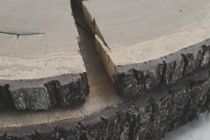 Holz